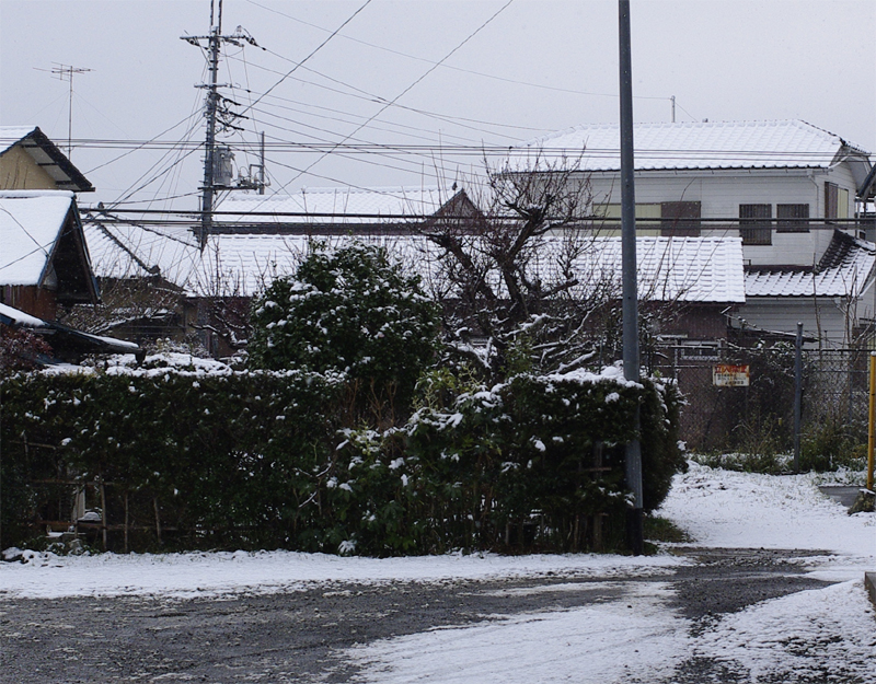 千葉は雪です
