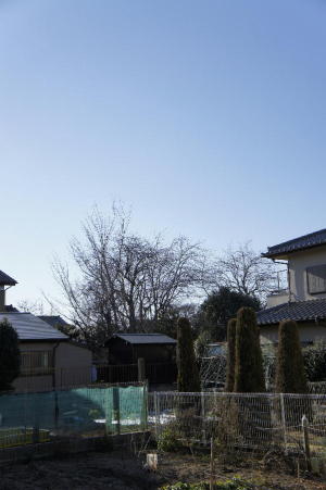 青空