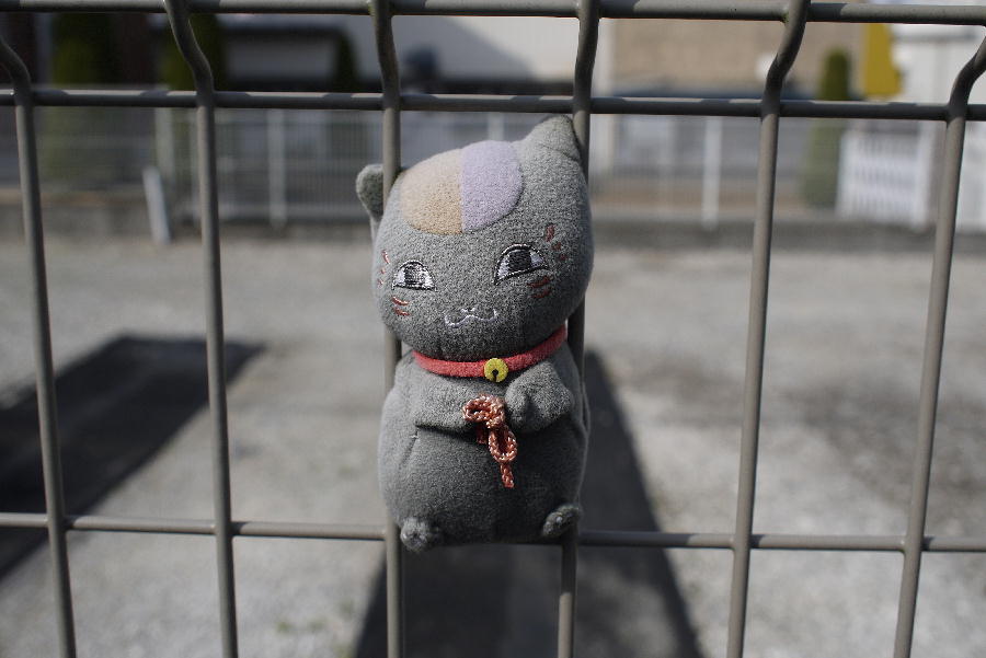 にゃんこ先生２